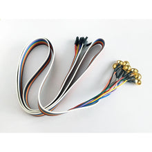 画像をギャラリービューアに読み込む, 皿電極付きケーブル(10個)